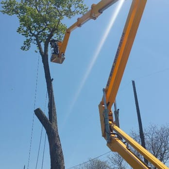 Trees & Company - Tree Services Near Me - Pontiac, Michigan Trees & Company - Tree Services Near Me - Pontiac, Michigan