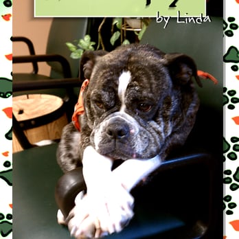 Hairapy By Linda - Hair Salons Near Me - Bethlehem, Pennsylvania Hairapy By Linda - Hair Salons Near Me - Bethlehem, Pennsylvania
