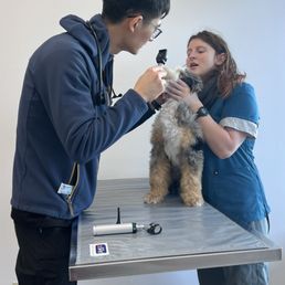 Wellness check