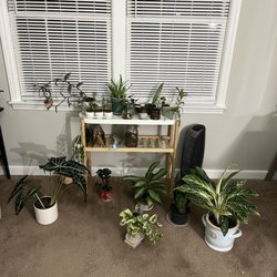 Seven Oaks Plant Shop