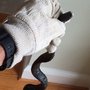 Photo of Cimex4u