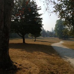 Quilchena Off-leash Dog Park