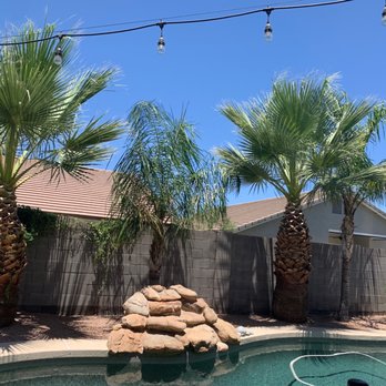 Next Level Tree Service - Tree Services Near Me - Glendale, Arizona