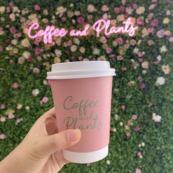 Coffee and Plants - Cute to-go cup that has a built in sleeve + aesthetic background - Coffee & Tea Near Me - Pasadena, California
