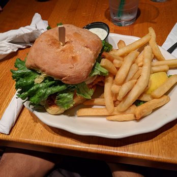 Thirsty Whale - Fried Haddock Sandwich. - American Near Me - Bar Harbor, Maine