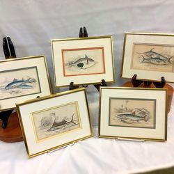 Pawling Antiques - Antique hand colored fish prints