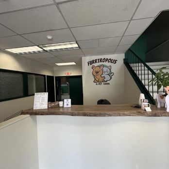Furrtropolis - Lobby - Pet Boarding Near Me - San Jose, California