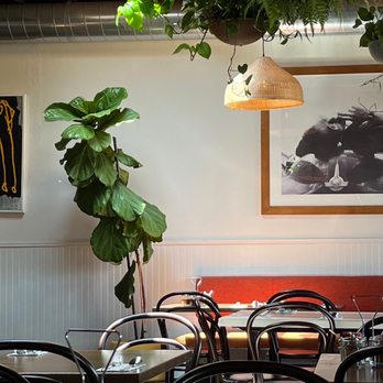 Birdseye Kitchen - Skylight - seating area - Vietnamese Near Me - Encinitas, California