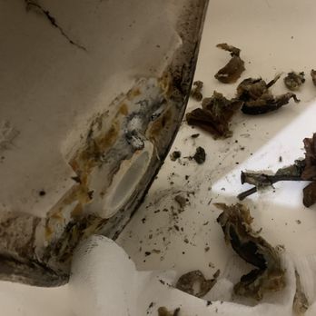 Pc Handyman Services - Old wax on the toilet - Plumbing Near Me Pc Handyman Services - Old wax on the toilet - Plumbing Near Me