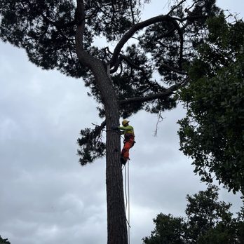 Green Life Tree Service - Landscaping Near Me Green Life Tree Service - Landscaping Near Me
