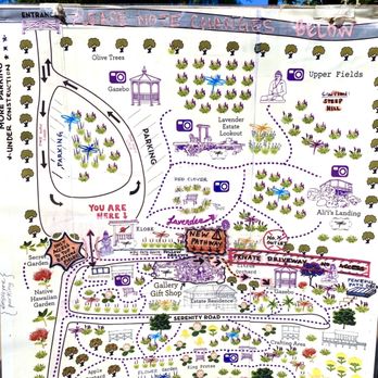 Ali'i Kula Lavender - Map - Tours Near Me - Kula, Hawaii Ali'i Kula Lavender - Map - Tours Near Me - Kula, Hawaii