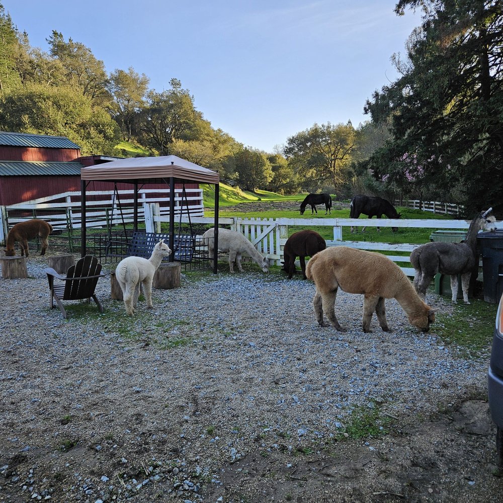 R2 HILLSIDE RANCH Updated October 2024 144 Photos & 35 Reviews