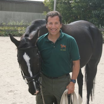 Indek Chiropractic - Horse and Rider Chiropratic - Chiropractors Near Me - South Weymouth, Massachusetts Indek Chiropractic - Horse and Rider Chiropratic - Chiropractors Near Me - South Weymouth, Massachusetts
