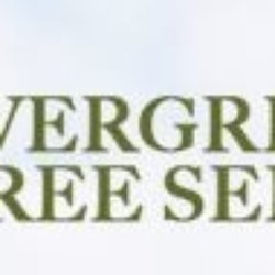 Evergreen Tree Services