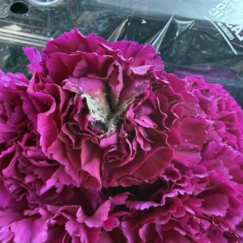 Trader Joe's - Rotted flower - Grocery Near Me - Berkeley, California Trader Joe's - Rotted flower - Grocery Near Me - Berkeley, California