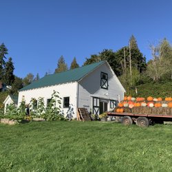 Novelty Hill Farm