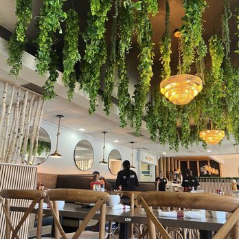 Egg House - Breakfast & Brunch Near Me - Arlington Heights, Illinois Egg House - Breakfast & Brunch Near Me - Arlington Heights, Illinois