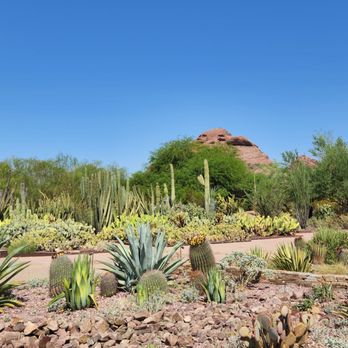 Desert Botanical Garden - Botanical Gardens Near Me - Phoenix, Arizona Desert Botanical Garden - Botanical Gardens Near Me - Phoenix, Arizona