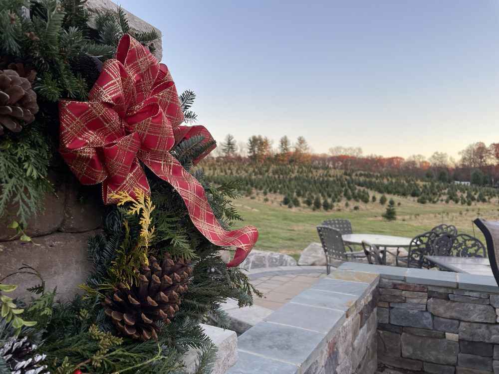 DAVIDSON TREE FARM Updated September 2024 18 Photos & 12 Reviews 1101 Emory Church Rd