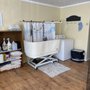 Photo of Pampered Pet Parlor