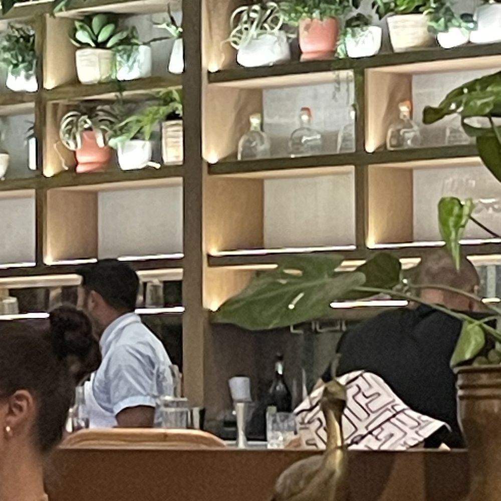 Sadelle's Coconut Grove - Our amazing bartender, Oscar! - Breakfast & Brunch Near Me - Miami, Florida Sadelle's Coconut Grove - Our amazing bartender, Oscar! - Breakfast & Brunch Near Me - Miami, Florida