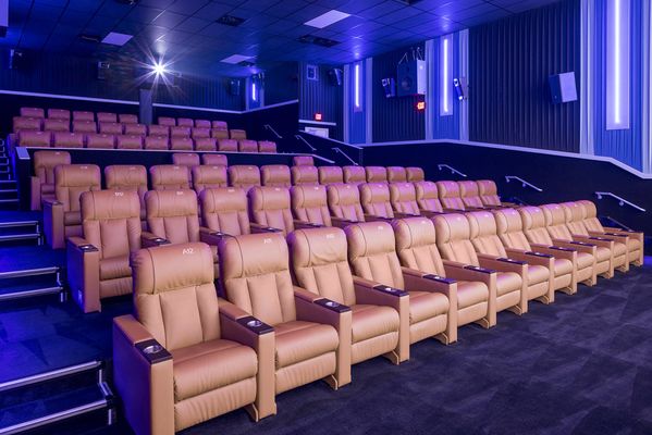 CLASSIC CINEMAS FOX LAKE XQ - Updated December 2025 - 17 Photos & 53