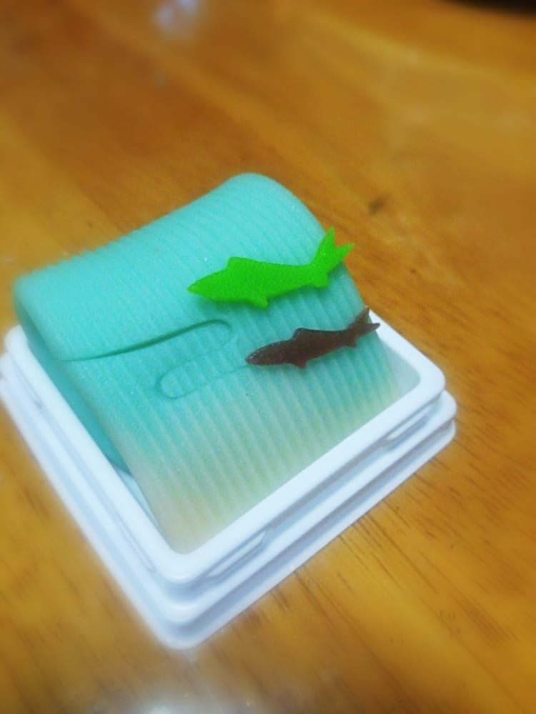 Miyagi KASHIWAYA S-PAL