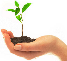 Evergreen Child Care - childcare center in Kirkland, WA