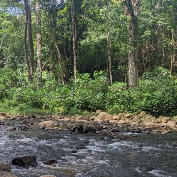 Ali'i Kayaks - Tours Near Me - Kapaa, Hawaii