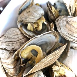 Steamers Steamers
