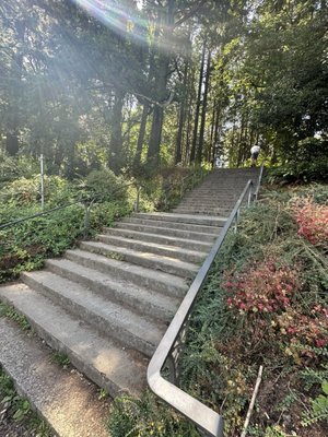 Mt. Tabor by null