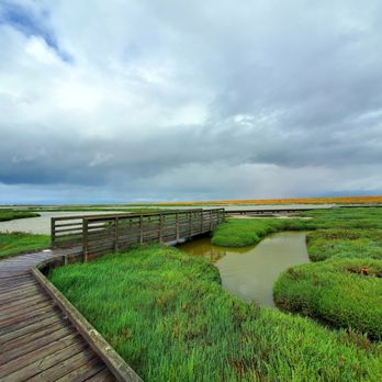 New Chicago Marsh - Boardwalk - Hiking Near Me - San Jose, California New Chicago Marsh - Boardwalk - Hiking Near Me - San Jose, California