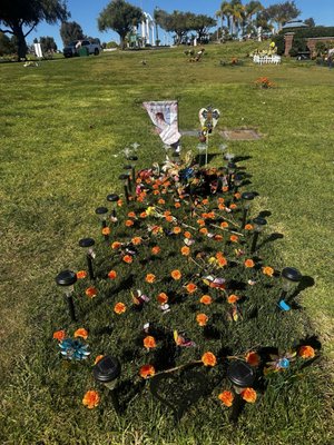 Greenwood Memorial Park and Mortuary by null