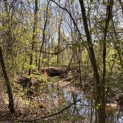 Clark's Creek Greenway