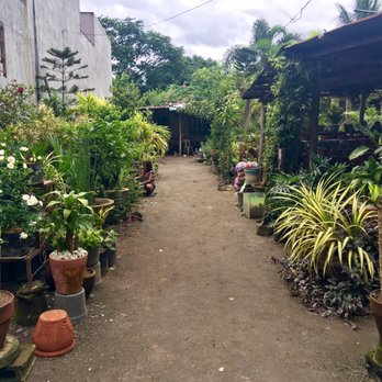 Jossie's Garden - Landscaping Near Me - Angeles, PAM