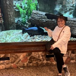 Cabela's