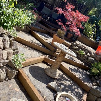 Better Than Real Artificial Grass - Before photo. - Artificial Turf Near Me - San Rafael, California