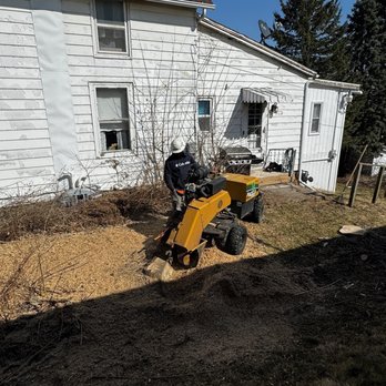 Iowa River Tree Service - Tree Services Near Me