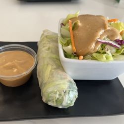 Thai Select - Spring Roll & Salad with Peanut Sauce