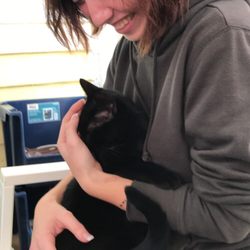 Cat Corner - Our other roommate falling in love.