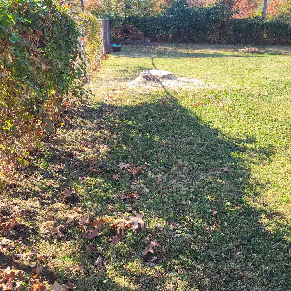 Happy Tree Service - Tree Services Near Me - Valley Park, Missouri Happy Tree Service - Tree Services Near Me - Valley Park, Missouri