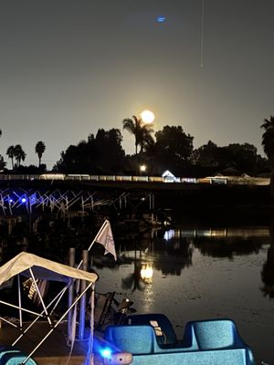 Amalfi Marina Bar (Dockside) by null