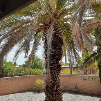 Tidy Up Yard - Landscaping Near Me Tidy Up Yard - Landscaping Near Me