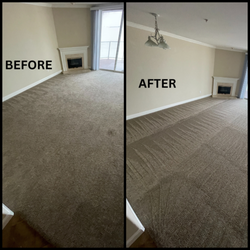 Dan Carpet Cleaning - Carpet Cleaning
