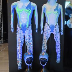 Las Vegas City Hall - Costumes used in"O".  They have to be changed very 2 months because of the chemicals in the water.