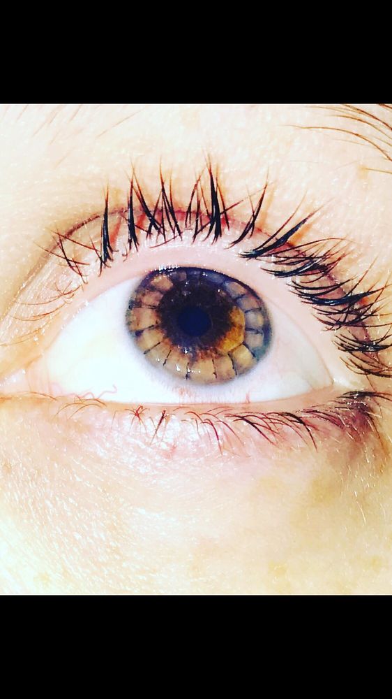 EYE ASSOCIATES OF LANCASTER LTD Updated October 2024 15 Reviews