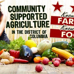 Three Part Harmony Farm - Three Part Harmony Farm - Community Supported Agriculture in DC