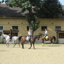 Reitsportzentrum Freudenau ASKÖ - ASKÖ Pferdesportzentrum