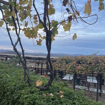 Cordiano Winery - Wineries Near Me - Escondido, California Cordiano Winery - Wineries Near Me - Escondido, California