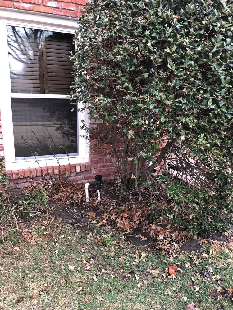 Slide of Aquarius Greenbelt